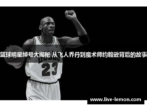 篮球明星绰号大揭秘 从飞人乔丹到魔术师约翰逊背后的故事
