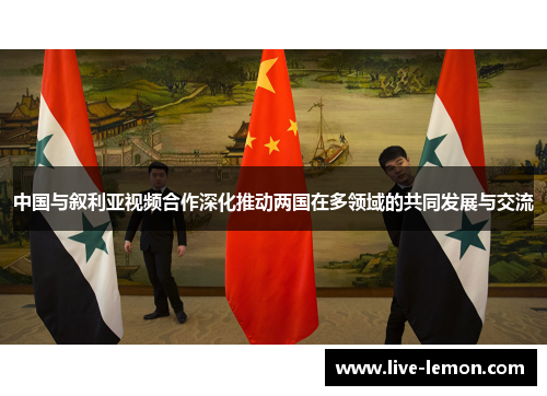 中国与叙利亚视频合作深化推动两国在多领域的共同发展与交流