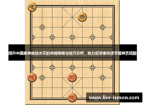 提升中国象棋竞技水平的关键策略与技巧分析，助力初学者快速掌握棋艺精髓